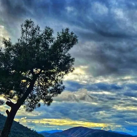 Sunset * Φετιγιέ